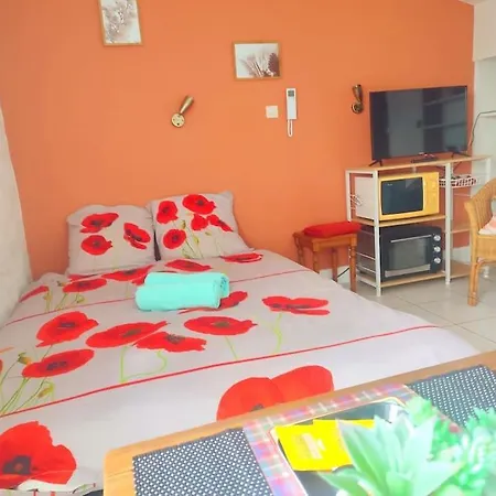 Le Petit Rhodier Apartmán Saint-Cirice